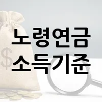 노령연금 소득기준