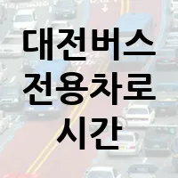 대전 버스전용차로 시간