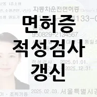면허증 적성 검사 갱신